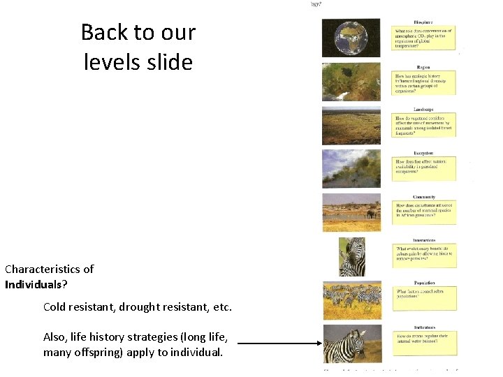 Back to our levels slide Characteristics of Individuals? Cold resistant, drought resistant, etc. Also,