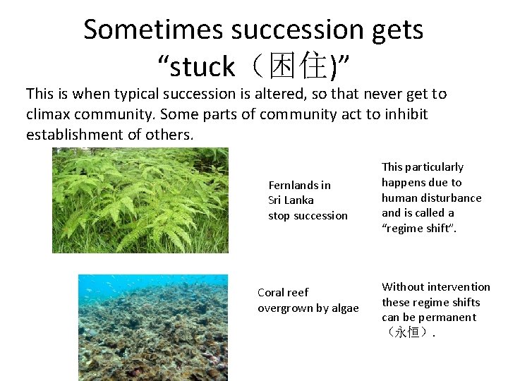Sometimes succession gets “stuck（困住)” This is when typical succession is altered, so that never