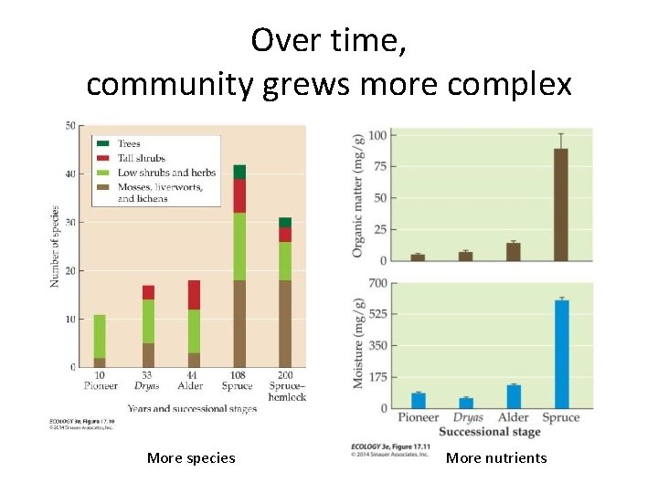 Over time, community grews more complex More species More nutrients 