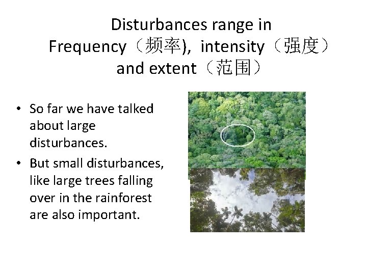 Disturbances range in Frequency（频率), intensity（强度） and extent（范围） • So far we have talked about