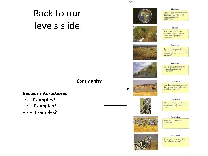 Back to our levels slide Community Species interactions: -/ - Examples? + / +