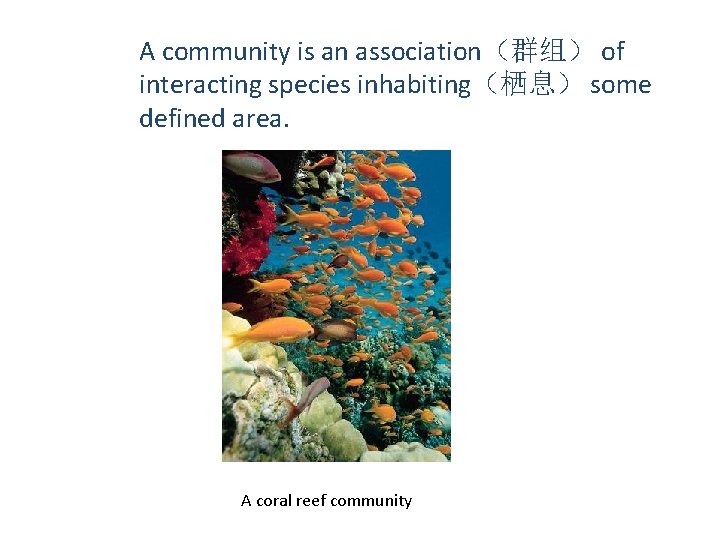 A community is an association（群组） of interacting species inhabiting（栖息） some defined area. A coral