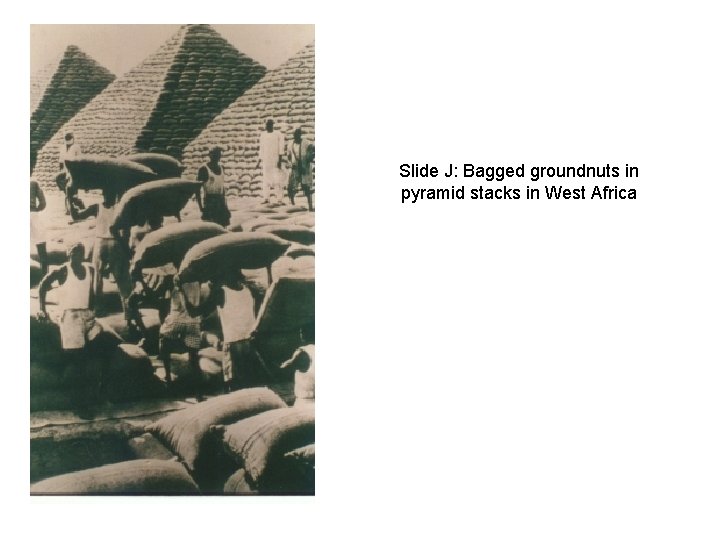 Slide J: Bagged groundnuts in pyramid stacks in West Africa 