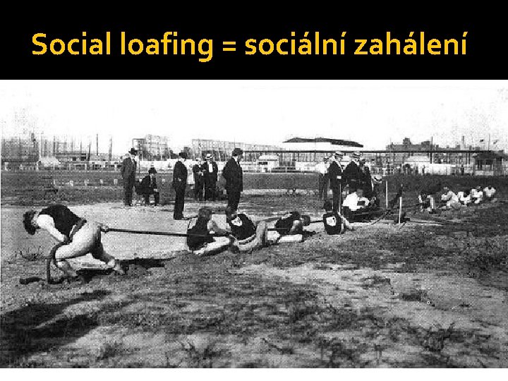 Social loafing = sociální zahálení 