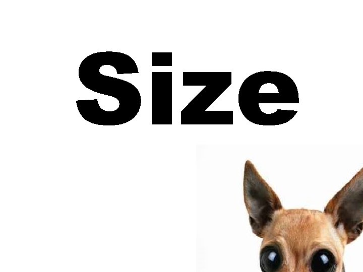 Size Size