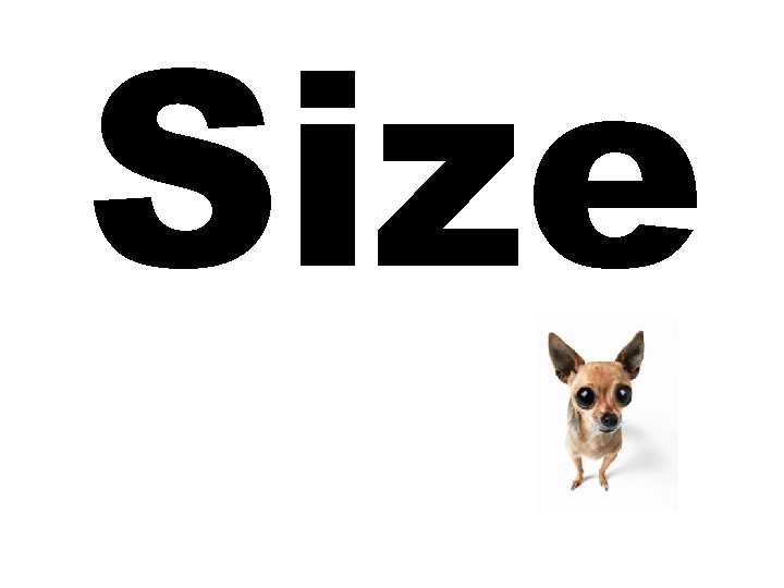 Size Size