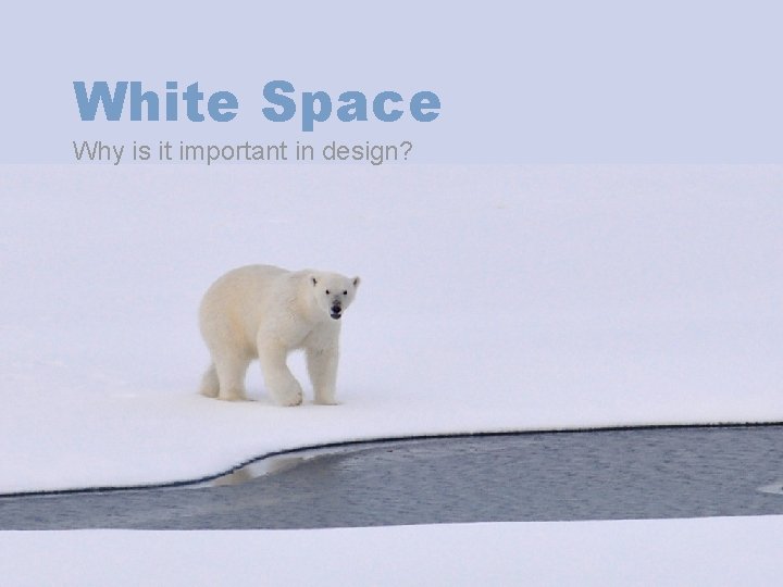 White Space Why is it important in design? White Space Why is it important in design?
