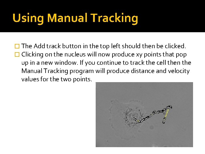 Using Manual Tracking � The Add track button in the top left should then