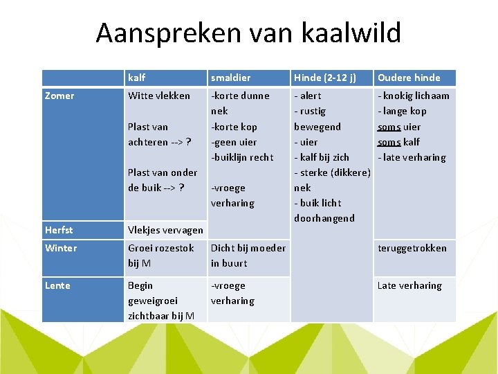 Aanspreken van kaalwild kalf smaldier Hinde (2 -12 j) Oudere hinde Zomer Witte vlekken