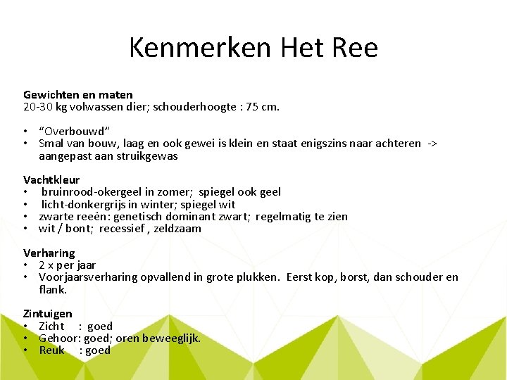 Kenmerken Het Ree Gewichten en maten 20 -30 kg volwassen dier; schouderhoogte : 75