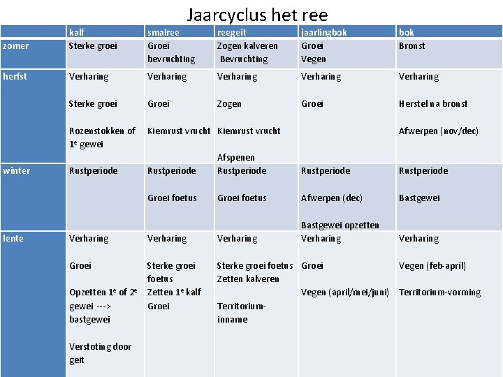 Jaarcyclus het ree zomer kalf Sterke groei smalree Groei bevruchting reegeit Zogen kalveren Bevruchting