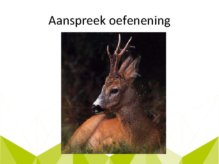 Aanspreek oefenening 