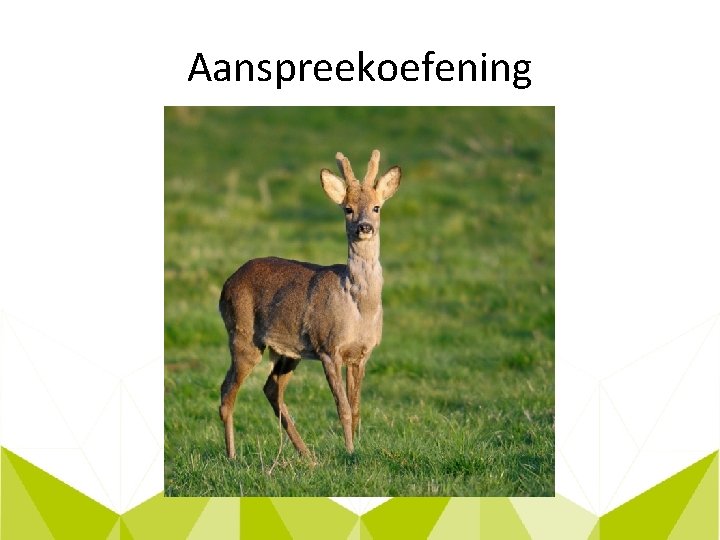 Aanspreekoefening 