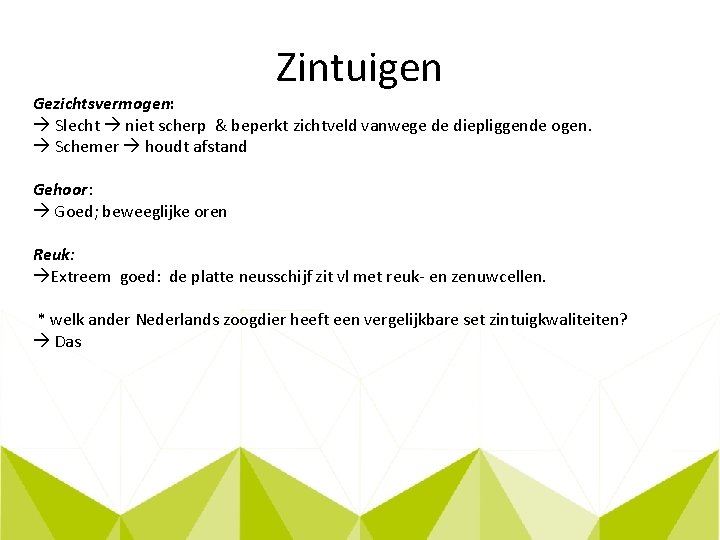 Zintuigen Gezichtsvermogen: Slecht niet scherp & beperkt zichtveld vanwege de diepliggende ogen. Schemer houdt