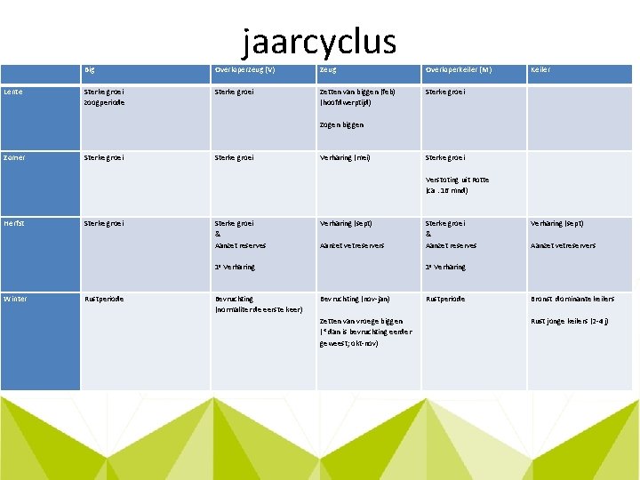 jaarcyclus Big Overloperzeug (V) Zeug Overloperkeiler (M) Keiler Lente Sterke groei zoogperiode Sterke groei