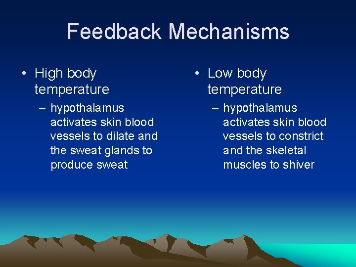 Feedback Mechanisms • High body temperature – hypothalamus activates skin blood vessels to dilate