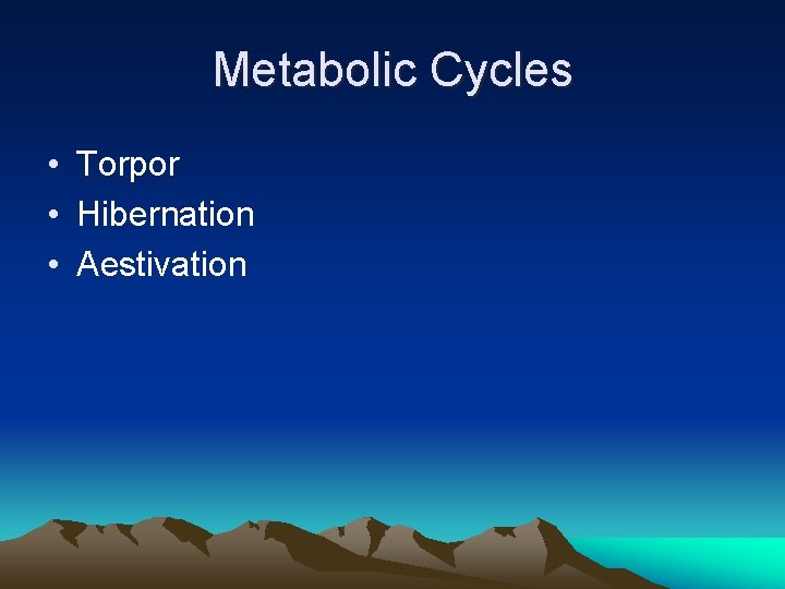 Metabolic Cycles • Torpor • Hibernation • Aestivation 