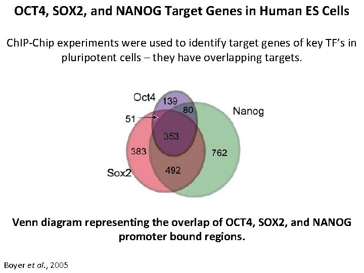 OCT 4, SOX 2, and NANOG Target Genes in Human ES Cells Ch. IP-Chip