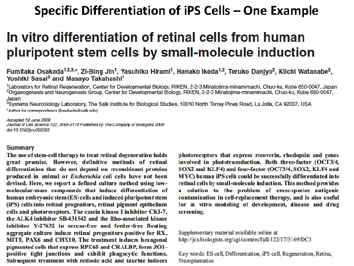 Specific Differentiation of i. PS Cells – One Example 