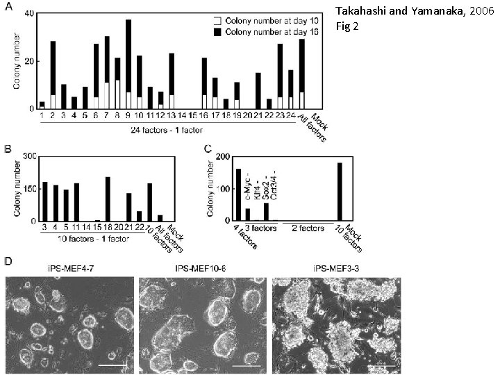 Takahashi and Yamanaka, 2006 Fig 2 