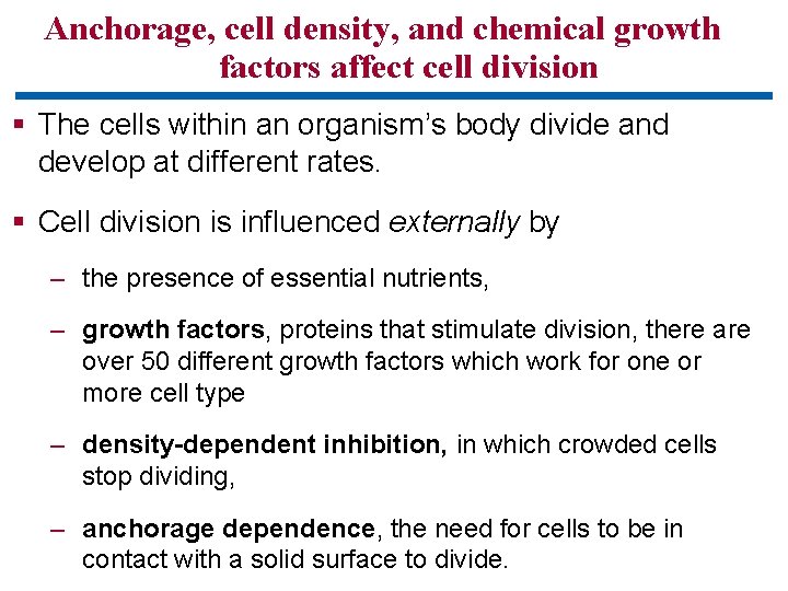 Anchorage, cell density, and chemical growth factors affect cell division § The cells within