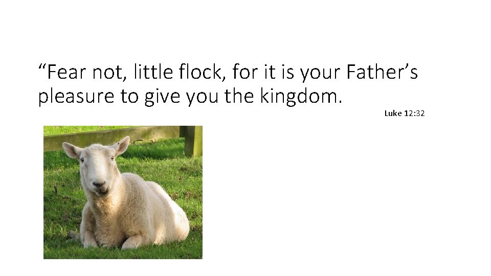 “Fear not, little flock, for it is your Father’s pleasure to give you the