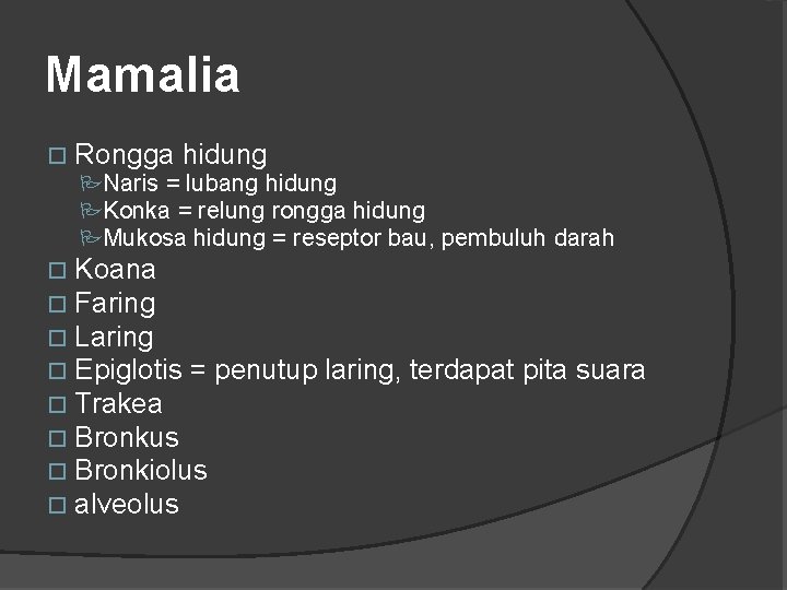 Mamalia Rongga hidung PNaris = lubang hidung PKonka = relung rongga hidung PMukosa hidung