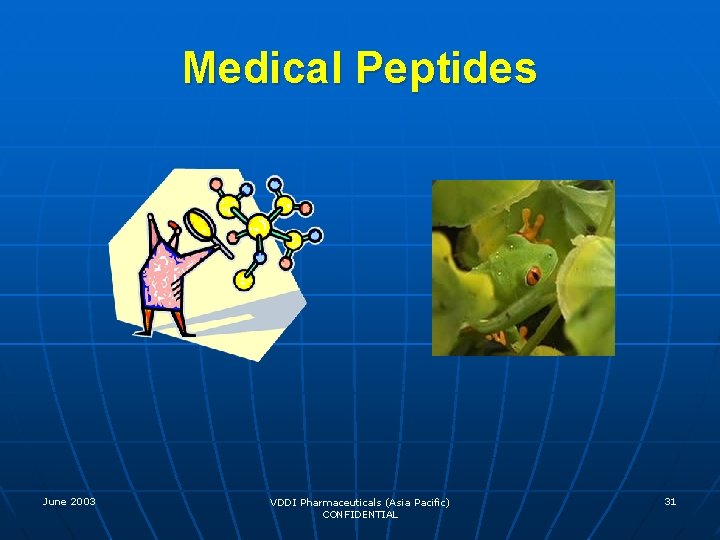 Medical Peptides June 2003 VDDI Pharmaceuticals (Asia Pacific) CONFIDENTIAL 31 