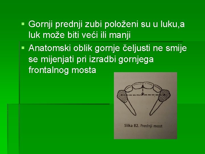 § Gornji prednji zubi položeni su u luku, a luk može biti veći ili