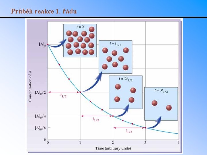 Průběh reakce 1. řádu 