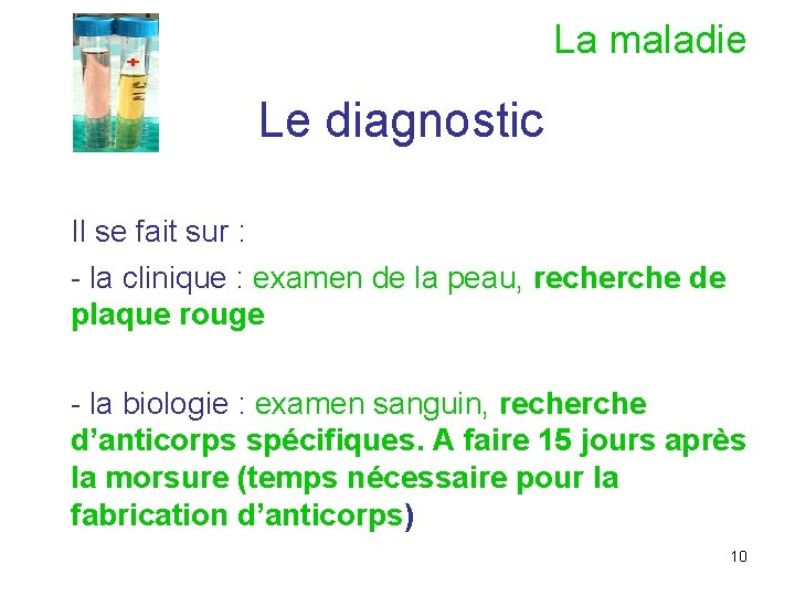 La maladie Le diagnostic Il se fait sur : - la clinique : examen