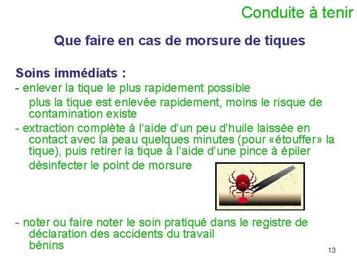  Conduite à tenir Que faire en cas de morsure de tiques Soins immédiats