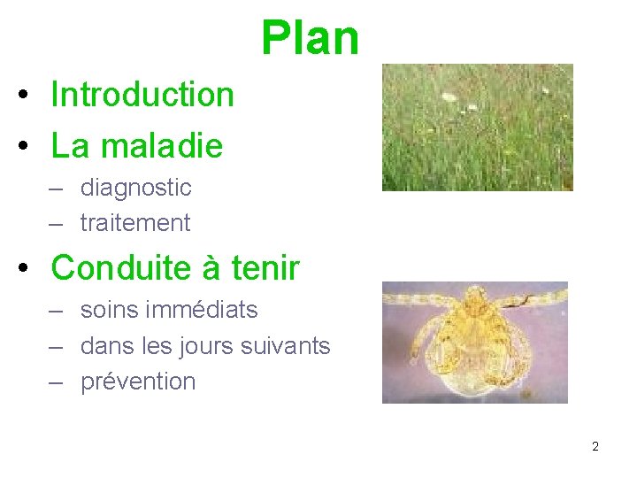 Plan • Introduction • La maladie – diagnostic – traitement • Conduite à tenir