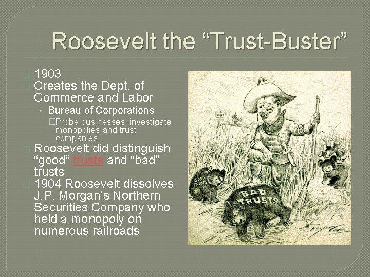 Roosevelt the “Trust-Buster” � � 1903 Creates the Dept. of Commerce and Labor •