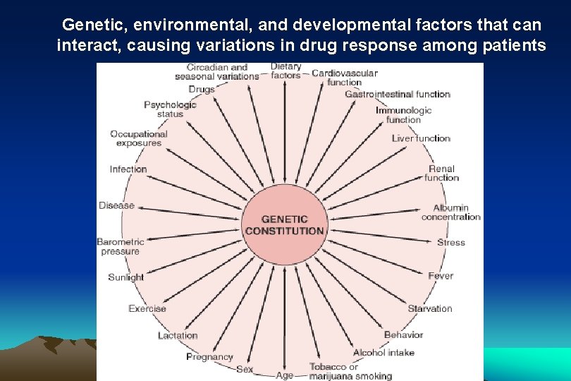 Genetic, environmental, and developmental factors that can interact, causing variations in drug response among