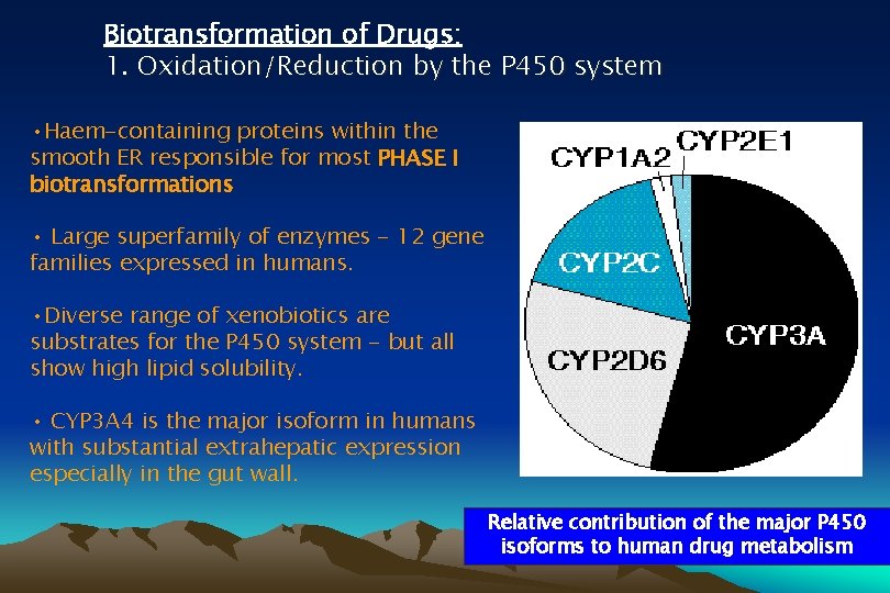 Biotransformation of Drugs: 1. Oxidation/Reduction by the P 450 system • Haem-containing proteins within