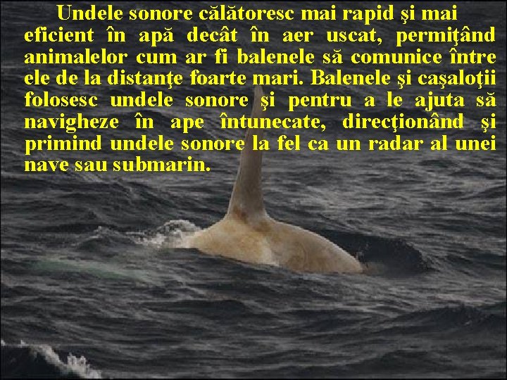 Undele sonore călătoresc mai rapid şi mai eficient în apă decât în aer uscat,