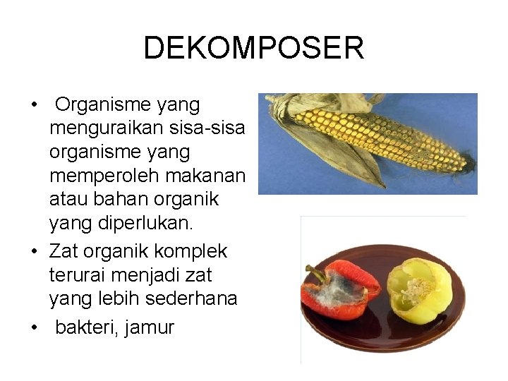 DEKOMPOSER • Organisme yang menguraikan sisa-sisa organisme yang memperoleh makanan atau bahan organik yang