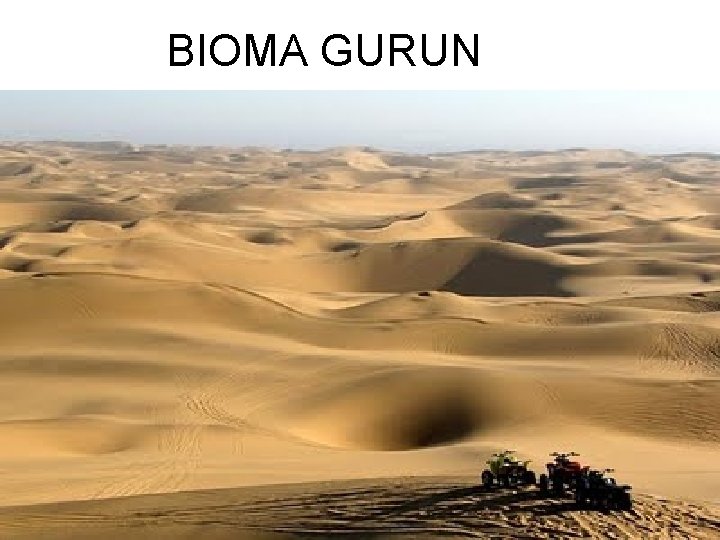 BIOMA GURUN 