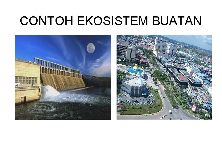 CONTOH EKOSISTEM BUATAN 