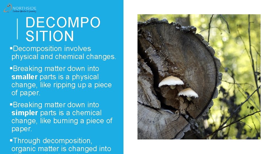 DECOMPO SITION §Decomposition involves physical and chemical changes. §Breaking matter down into smaller parts