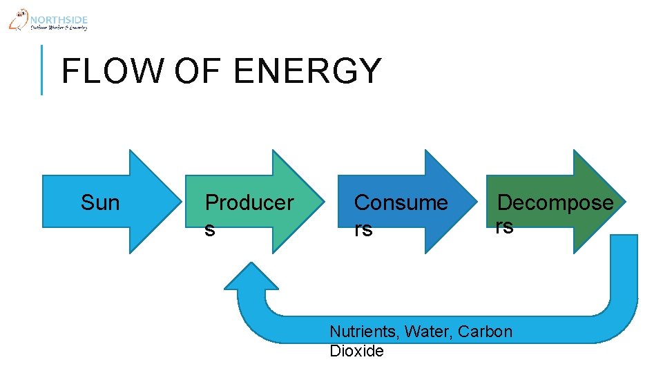 FLOW OF ENERGY Sun Producer s Consume rs Decompose rs Nutrients, Water, Carbon Dioxide