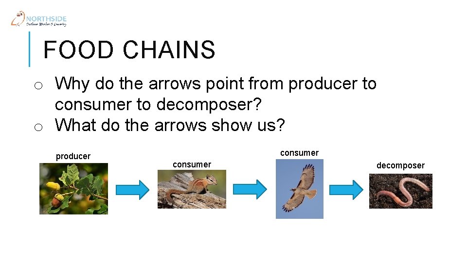 FOOD CHAINS o Why do the arrows point from producer to consumer to decomposer?