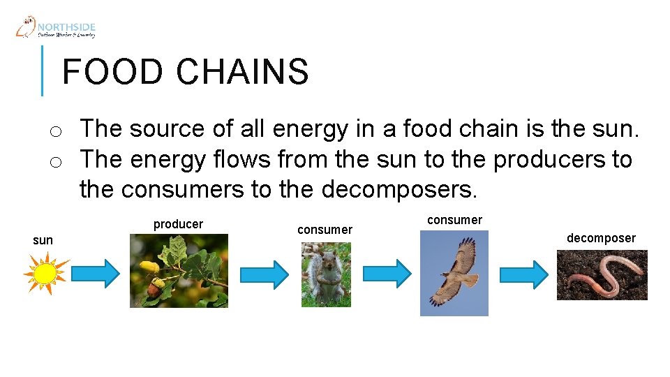 FOOD CHAINS o The source of all energy in a food chain is the