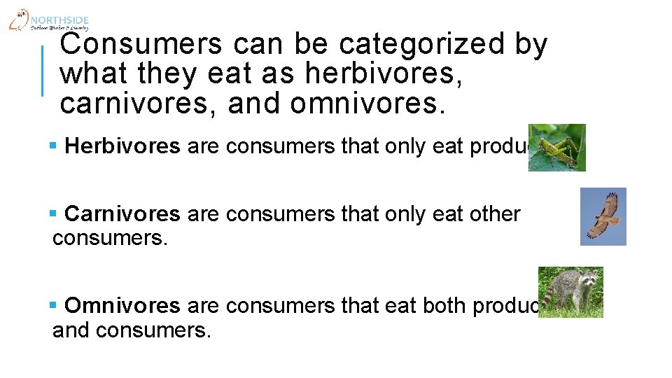Consumers can be categorized by what they eat as herbivores, carnivores, and omnivores. §