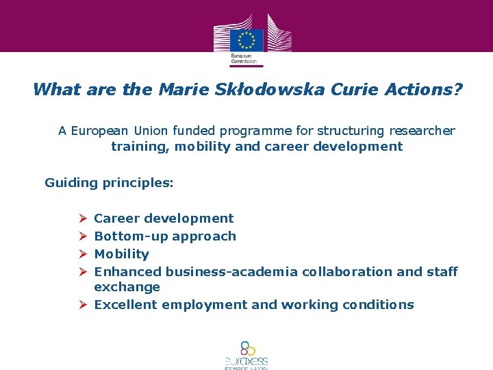 What are the Marie Skłodowska Curie Actions? A European Union funded programme for structuring