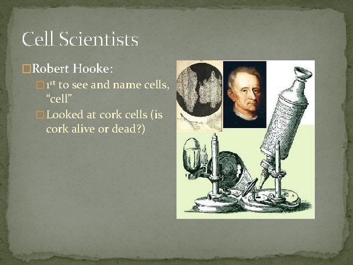 Cell Scientists �Robert Hooke: � 1 st to see and name cells, “cell” �