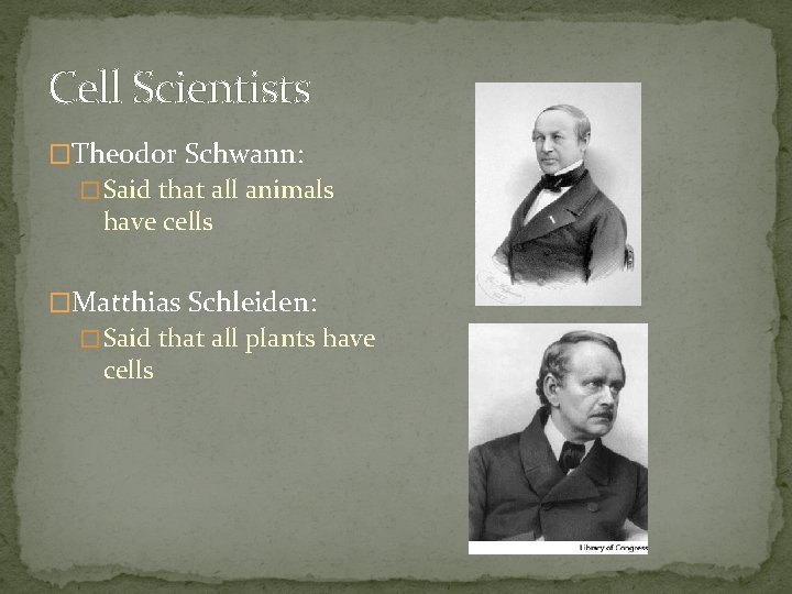 Cell Scientists �Theodor Schwann: � Said that all animals have cells �Matthias Schleiden: �