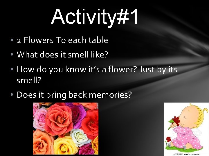 Activity#1 • 2 Flowers To each table • What does it smell like? •