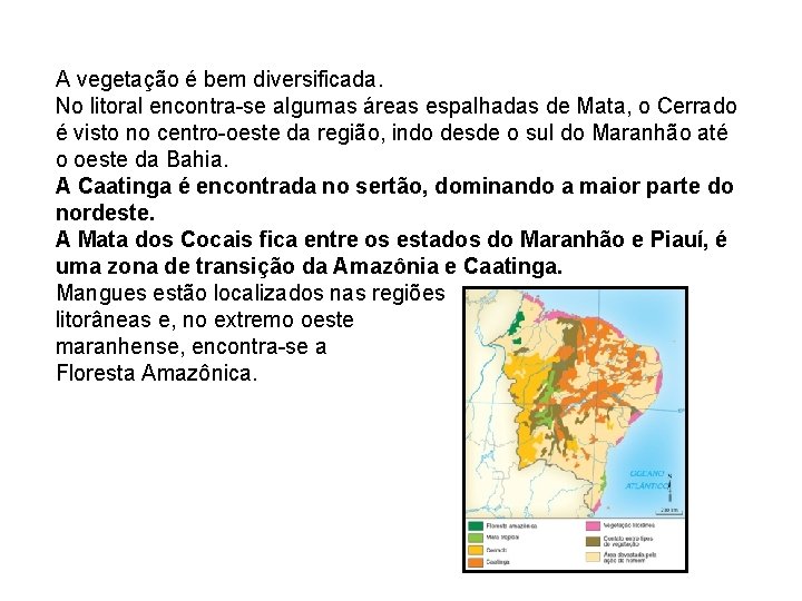 A vegetação é bem diversificada. No litoral encontra-se algumas áreas espalhadas de Mata, o